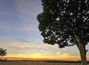 Photo n°6 de UGL Le Cardinal à Domèvre-en-Haye ()