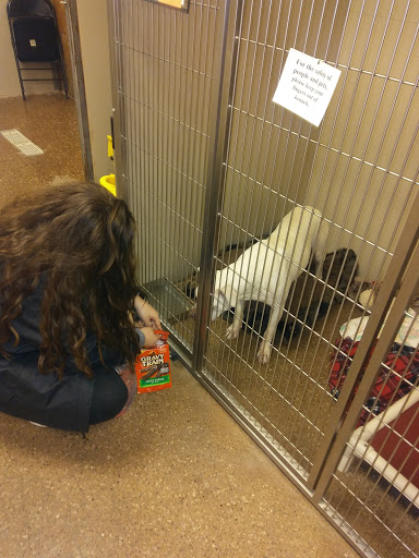 Pet Supply Store «PetSmart», reviews and photos, 1945 Pavilion Way, Lexington, KY 40509, USA