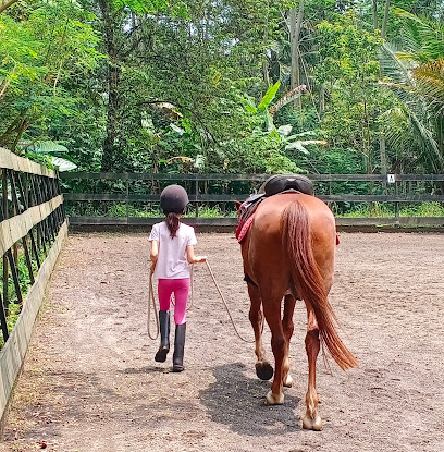 Sekolah Berkuda Alami Havana Horses