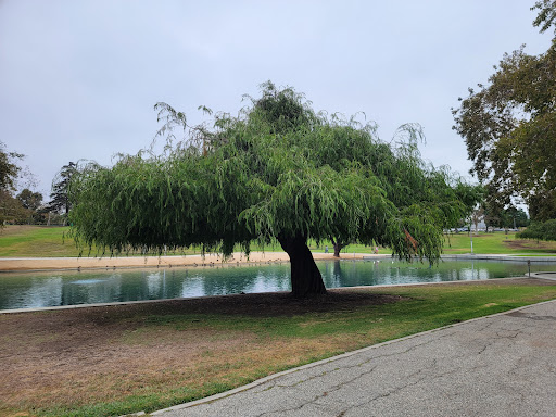 Park «La Mirada Community Regional Park», reviews and photos, 13701 Adelfa Dr, La Mirada, CA 90638, USA