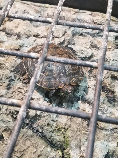 Pet Supply Store «Petco Animal Supplies», reviews and photos, 168 Ames Dr, Barre, VT 05641, USA