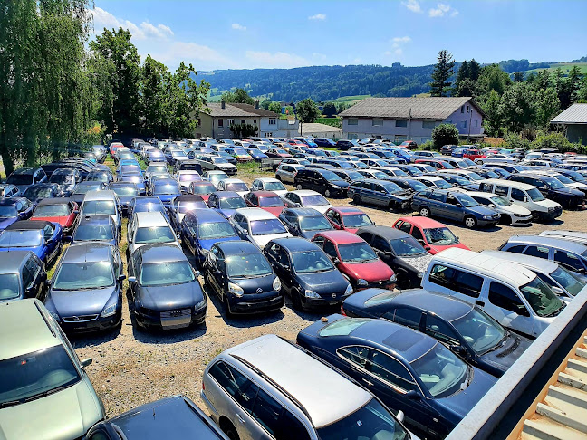 Rezensionen über Swiss autoverwertung GmbH in Bülach - Autohändler