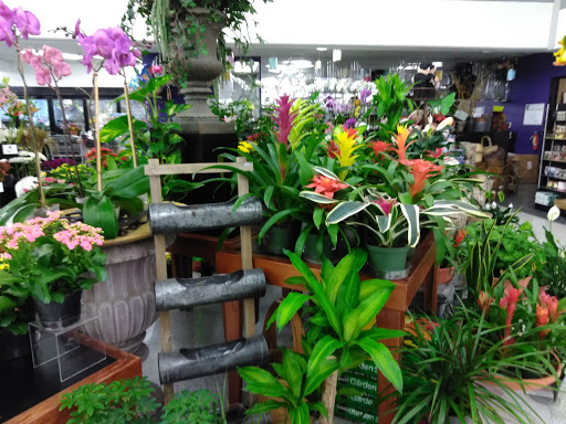 Grocery Store «Rice Epicurean Markets», reviews and photos, 2020 Fountain View Dr, Houston, TX 77057, USA