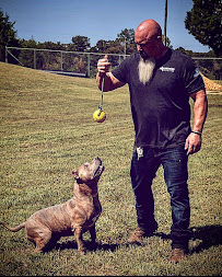 K9 Services Unlimited - Photo 4 - Car repair in Knoxville, TN, Knoxville