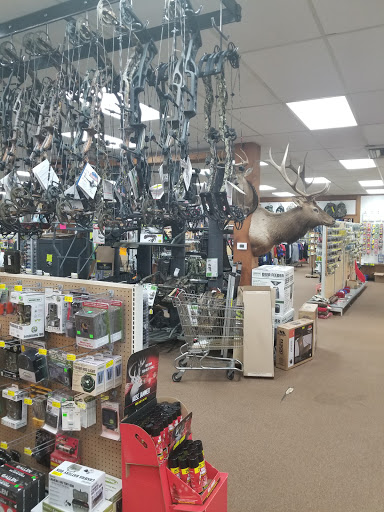 Sporting Goods Store «Gable Sporting Goods», reviews and photos, 6250 Fairburn Rd, Douglasville, GA 30134, USA