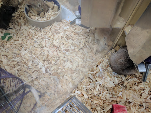 Pet Supply Store «Pet Supermarket», reviews and photos, 268 Grande Heights Dr, Cary, NC 27513, USA