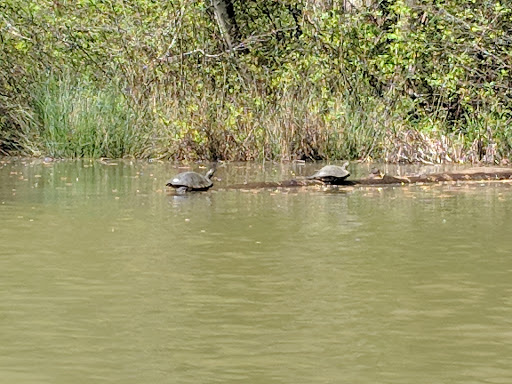 State Park «Natchez Trace State Park», reviews and photos, 24845 Natchez Trace Rd, Wildersville, TN 38388, USA