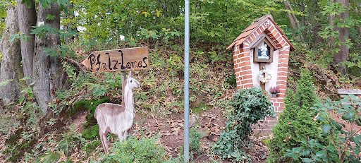 Alexander Weinert veterinarian unter Völkersweiler, Rheinland-Pfalz