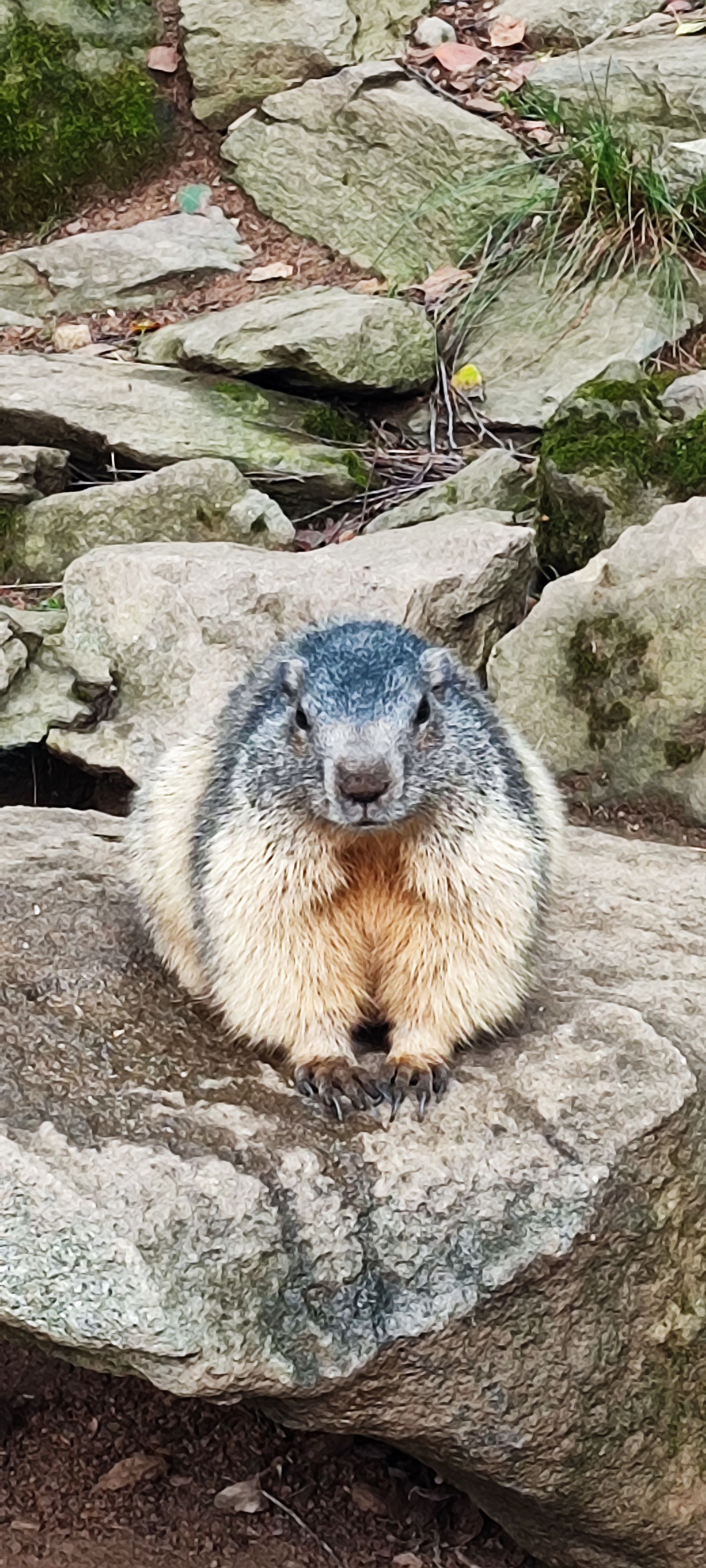 Photo n° 2 de l'avis de emilie.a fait le 29/08/2023 à 20:24