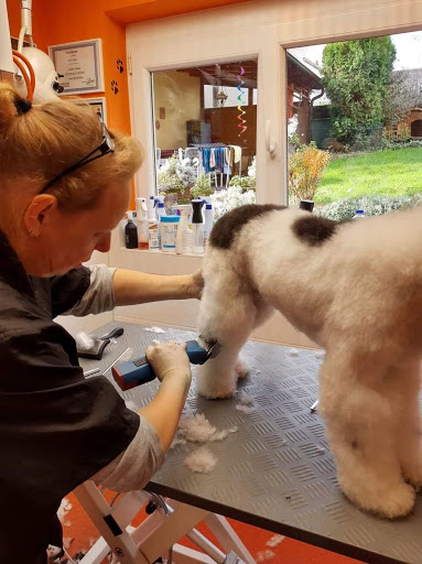 Hundesalon Pfötchenexpress unter Schaafheim, 