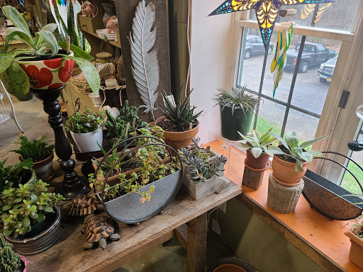 Garden Center «Victoria Gardens», reviews and photos, 1 Cottekill Rd, Rosendale, NY 12472, USA