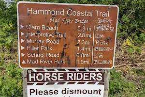 Hammond Coastal Trail image