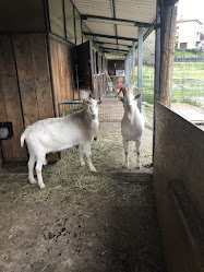 Azienda e Caseificio Marzio Poma