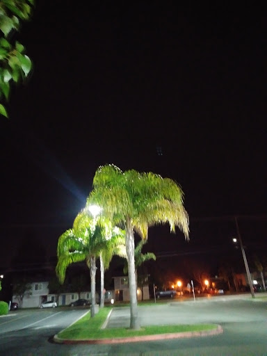 Supermarket «S-Mart», reviews and photos, 530 W Lodi Ave, Lodi, CA 95240, USA