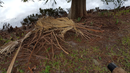 Park «Wadeview Community Center», reviews and photos, 2177 S Summerlin Ave, Orlando, FL 32806, USA