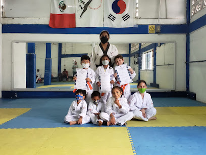 Centro Universitario Taekwondo Jojutla - Morelos 302, Centro, 62900 Jojutla de Juárez, Mor., Mexico