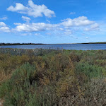 Photo n° 3 de l'avis de STEPHANE.O fait le 25/08/2021 à 13:41 pour Plage des Aresquiers à Frontignan