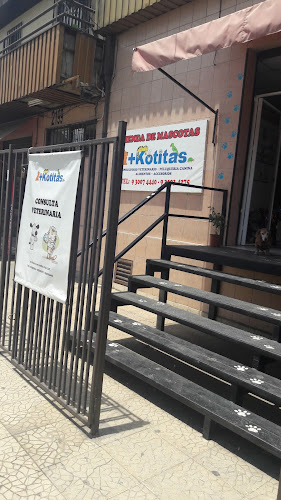 Opiniones de +Kotitas Tienda de Mascotas/ Consulta veterinaria y peluquería canina en Macul - Veterinario
