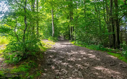 Nature reserve Czantoria image