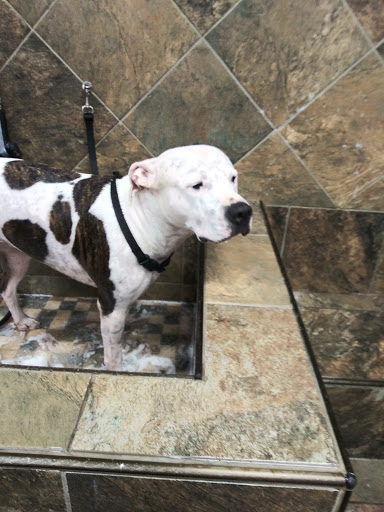 Pet Store «Pet Valu», reviews and photos, 2290 Central Park Ave, Yonkers, NY 10701, USA