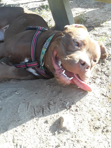 Dog Park «Dog Park», reviews and photos, 9068-9156 Wheatsheaf Rd, Morrisville, PA 19067, USA