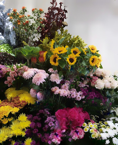 Отзиви за Магазин за цветя Омайниче - Габрово в Габрово - Цветарница