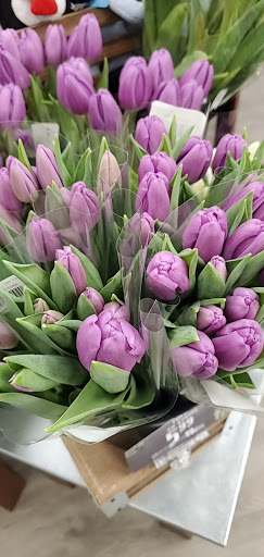 Grocery Store «Jewel-Osco», reviews and photos, 1400 21st St, Zion, IL 60099, USA