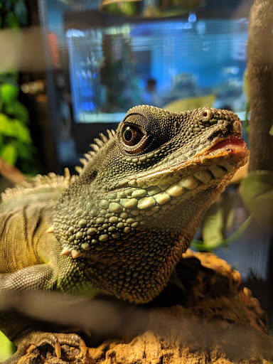 Tourist Attraction «IMAG History & Science Center (formerly Imaginarium Science Center)», reviews and photos, 2000 Cranford Ave, Fort Myers, FL 33916, USA