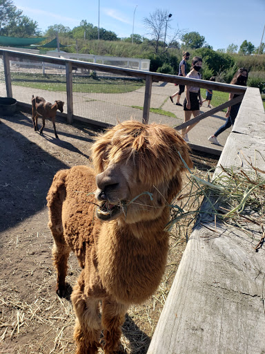 Social Services Organization «Lambs Farm», reviews and photos, 14245 W Rockland Rd, Libertyville, IL 60048, USA