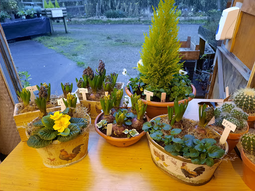 Nobottle Nursery