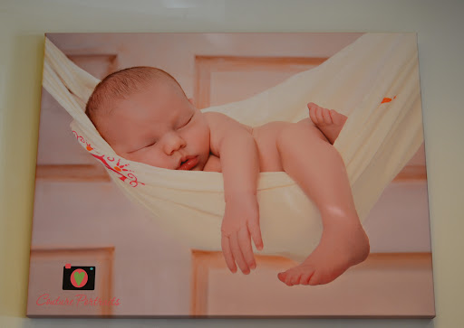 Baby Store «The Milky Way», reviews and photos, 1419 East Blvd, Charlotte, NC 28203, USA