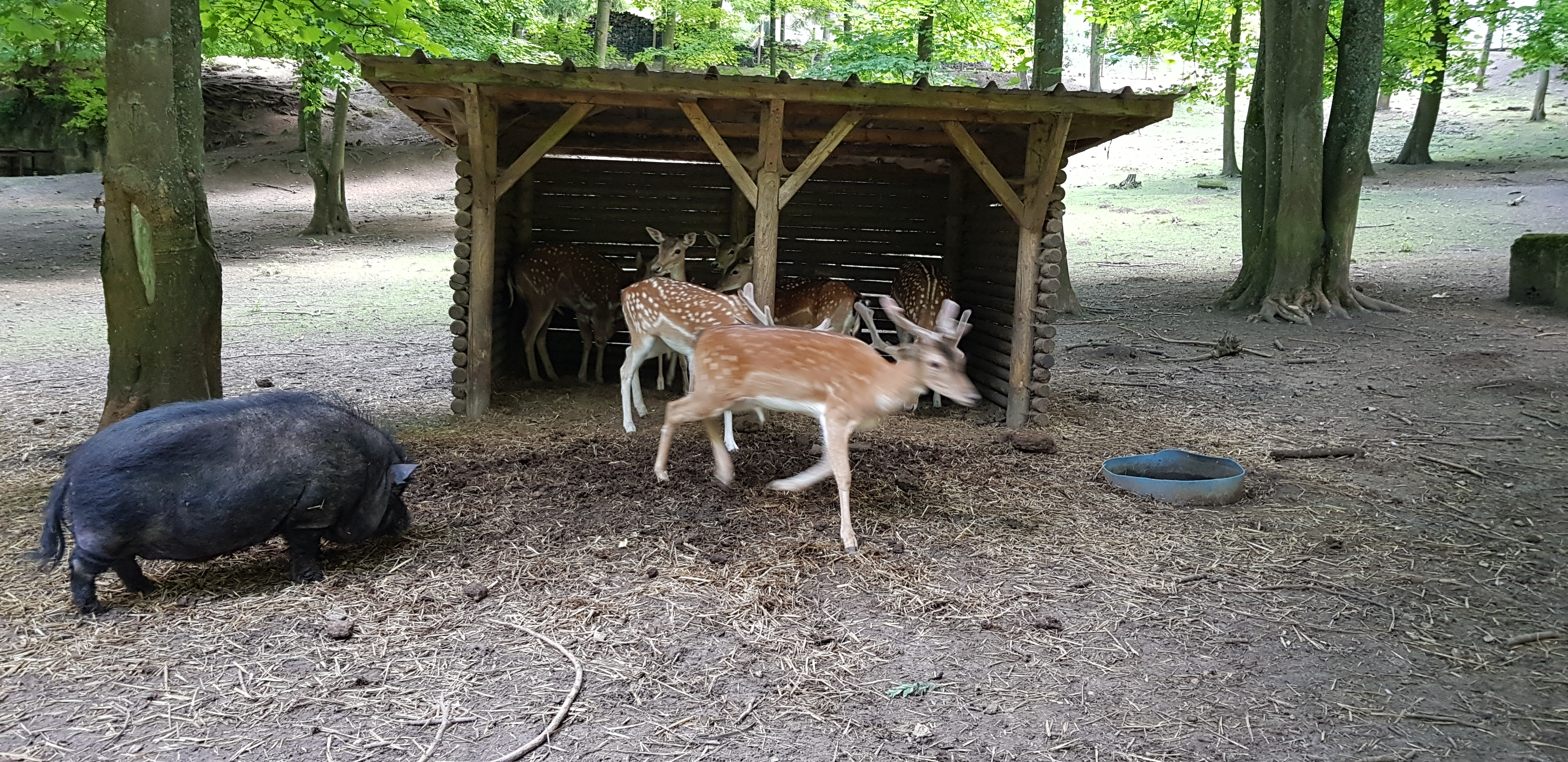 Photo n° 3 de l'avis de Tarik.A fait le 03/07/2017 à 15:56