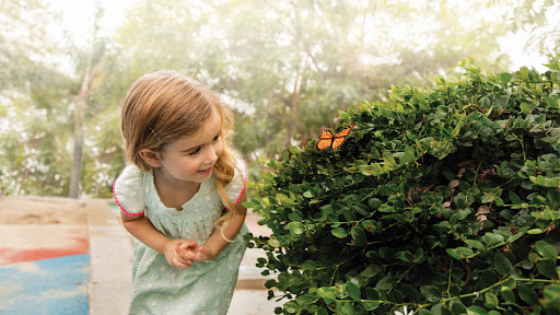 6525 Chase Oaks Blvd, Plano, TX 75023, USA