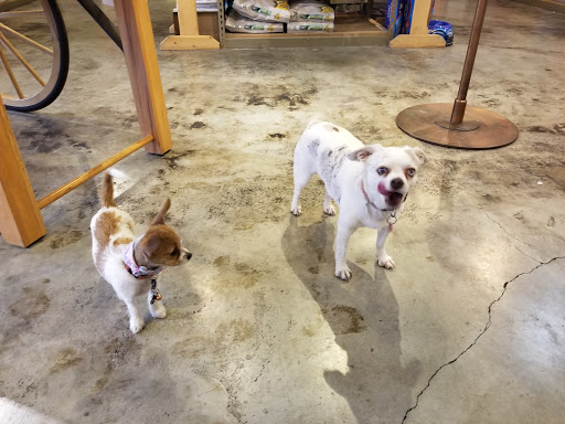 Pet Store «Next to Nature», reviews and photos, 4543 California Ave SW, Seattle, WA 98116, USA