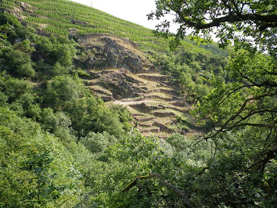 Domaine Chambeyron Côte-Rôtie à Ampuis