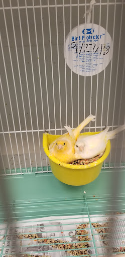 Pet Store «Pet World Warehouse Outlet», reviews and photos, 2984 S 108th St, Milwaukee, WI 53227, USA