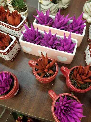 Grocery Store «Albertsons», reviews and photos, 11330 51st Ave NW, Gig Harbor, WA 98332, USA