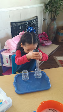 The Montessori Learning House Bilingual School - Photo 4 - Car repair in Little Elm, TX, Denton