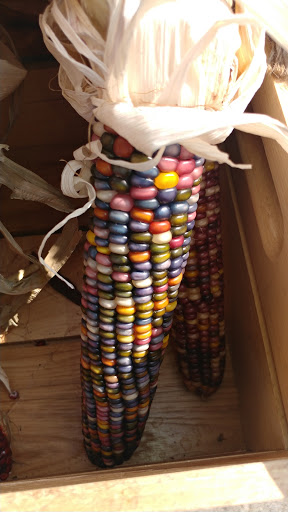 Health Food Store «Lexington Cooperative Market», reviews and photos, 807 Elmwood Ave, Buffalo, NY 14222, USA