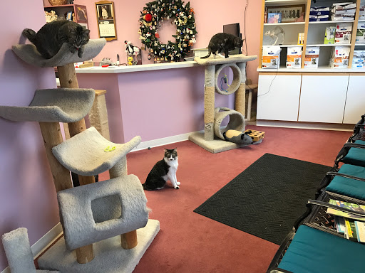 Veterinary Care «Carousel Cat Clinic», reviews and photos