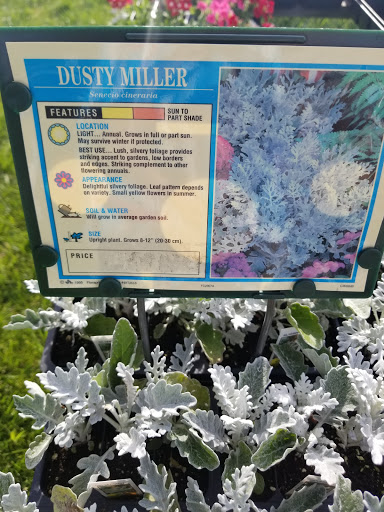 Florist «Lyndhurst Florist», reviews and photos, 5268 Mayfield Rd, Lyndhurst, OH 44124, USA