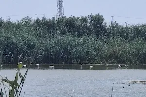 Boroklini Lake image