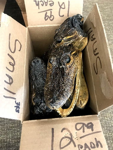 Antique Store «Coronado Antiques Mall», reviews and photos, 1433 S Dixie Fwy, New Smyrna Beach, FL 32168, USA