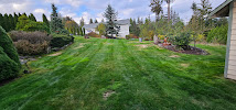Carmona Landscaping and Tree Services - Photo 5 - Car repair in , Marysville