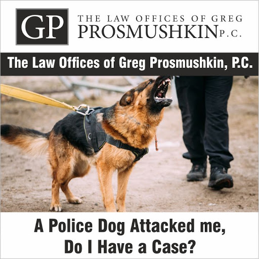 Law Firm «Law Offices of Greg Prosmushkin, P.C.», reviews and photos