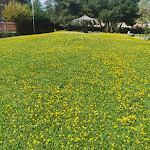 Photo n°3 de l'avis de Luigi.r fait le 22/01/2023 à 16:06 sur le  Chiringuito à San Severo