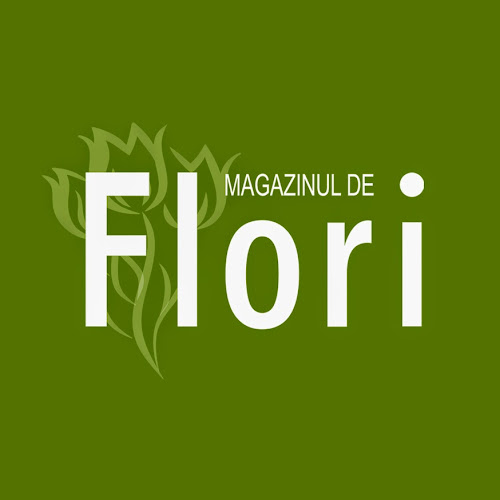 Magazinul de Flori - <nil>
