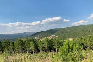 Murat Mountain Picnic Area image