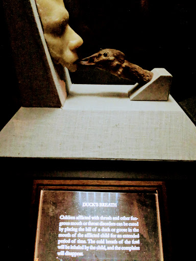 The Museum of Jurassic Technology image