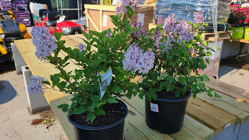 Home Improvement Store «The Home Depot», reviews and photos, 114 Federal Rd, Danbury, CT 06810, USA